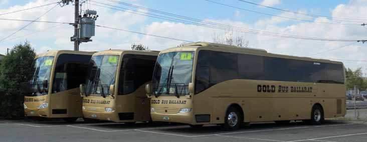Gold Bus Volvo B7R Coach Concepts 8, Coach Design MAN 18.280 25 & Volvo B7R 38